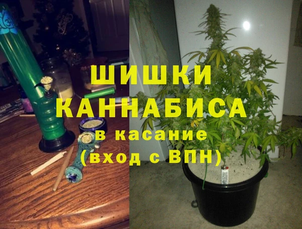 молекула духа Баксан